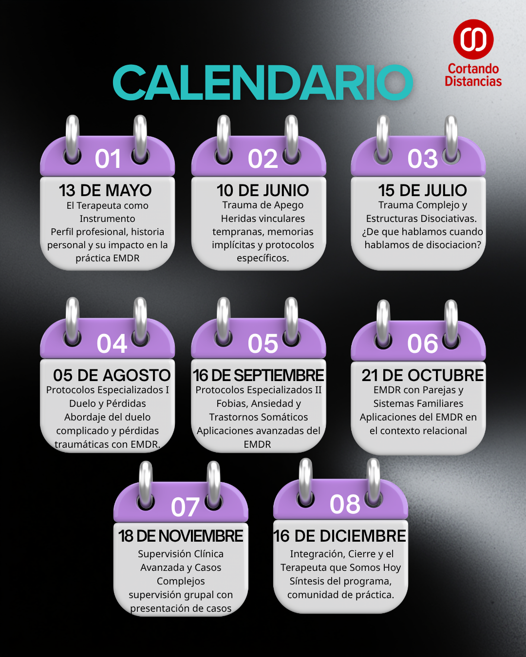 Ejes temáticos del programa